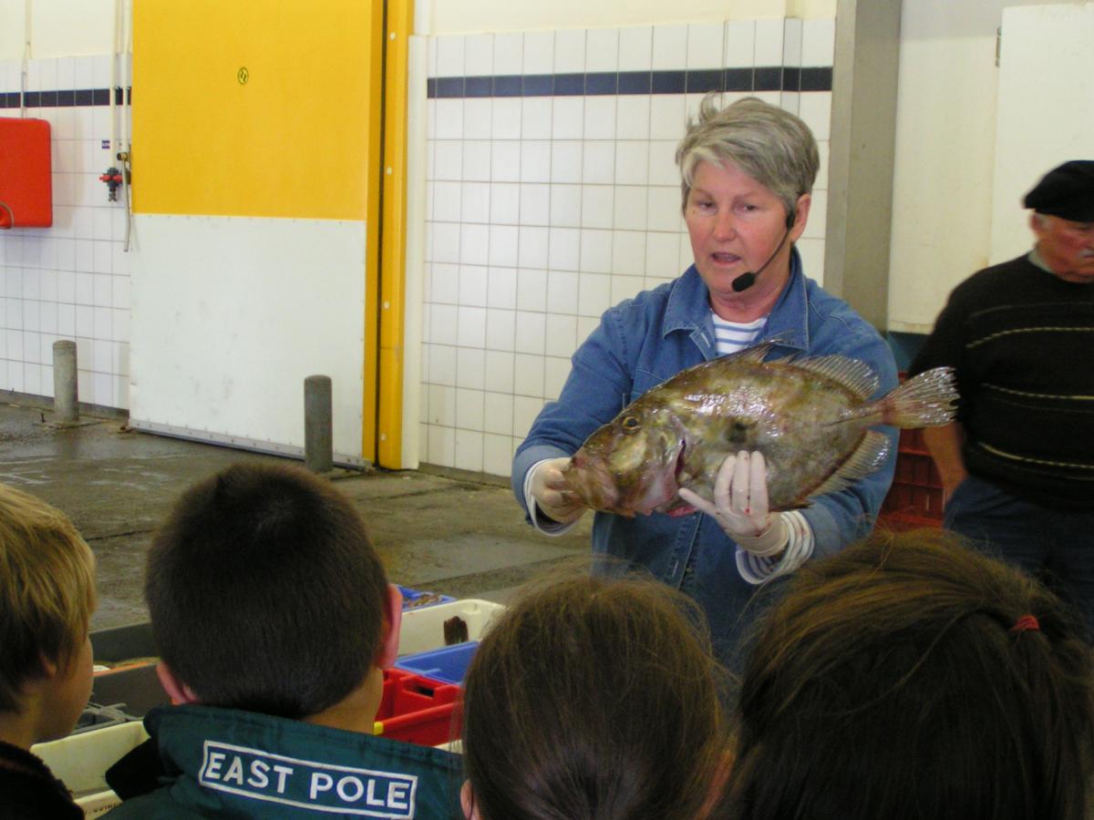 visite_criee_de_poulgoazec.jpg